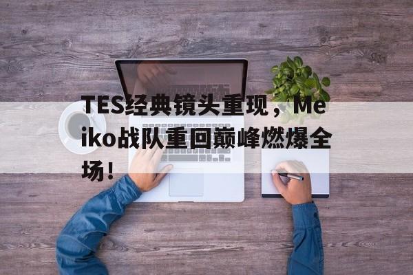 TES经典镜头重现，Meiko战队重回巅峰燃爆全场！